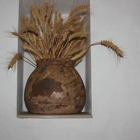 Casa Abuelo Rafael