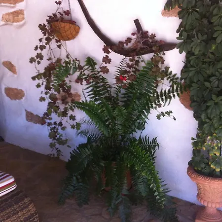 Casa Emblematica Abuelo Rafael Летний дом